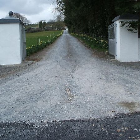 Grove Farm House Inistioge ภายนอก รูปภาพ